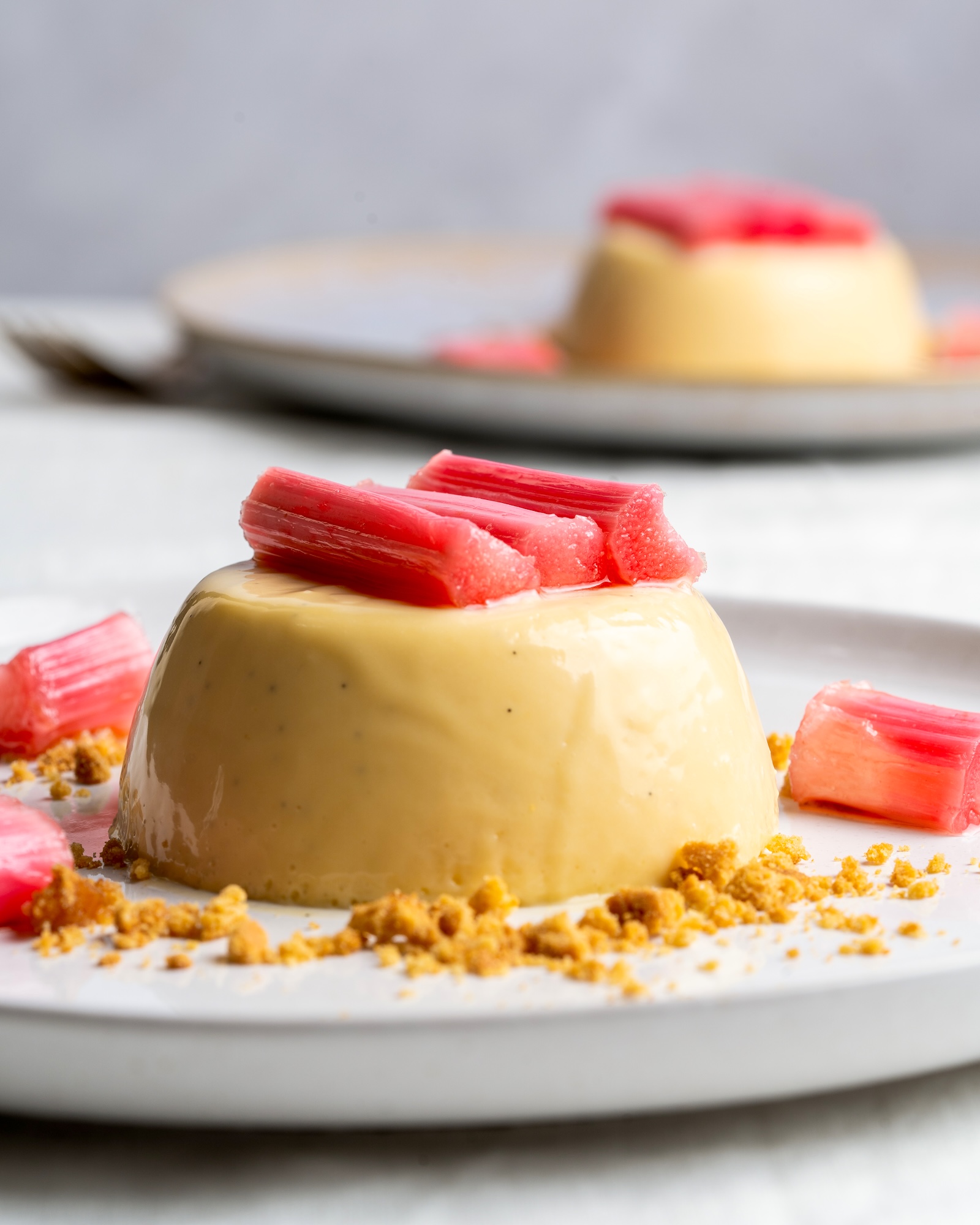 Rhubarb and custard panna cotta
